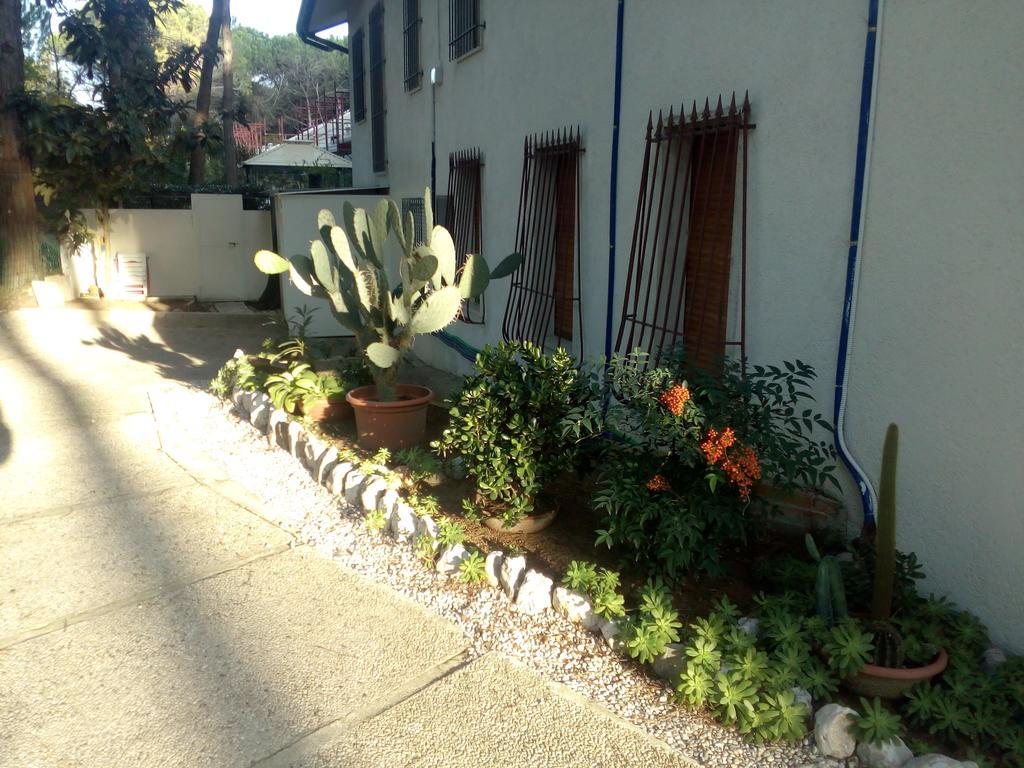 Villa Trifoglio Τζεσόλο Λίντο Εξωτερικό φωτογραφία